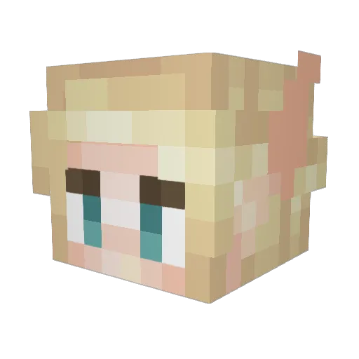 nat_ento Minecraft avatar head, 3D render