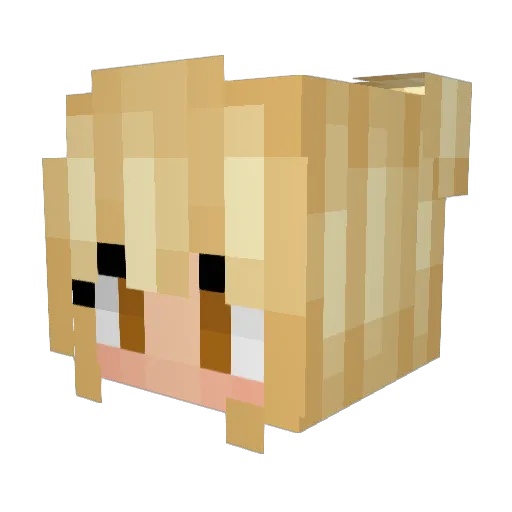nat_noodle Minecraft avatar head, 3D render