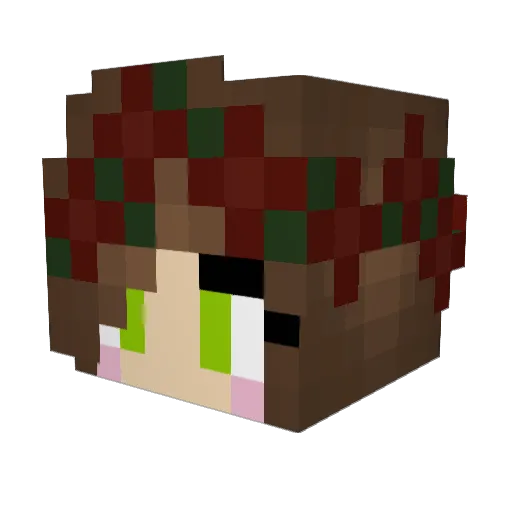 nata855 Minecraft avatar head, 3D render