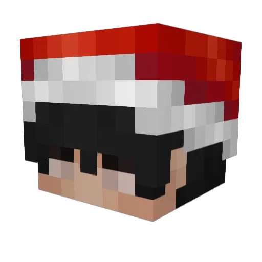 natanfn Minecraft avatar head, 3D render