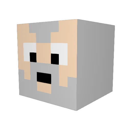 natantator Minecraft avatar head, 3D render