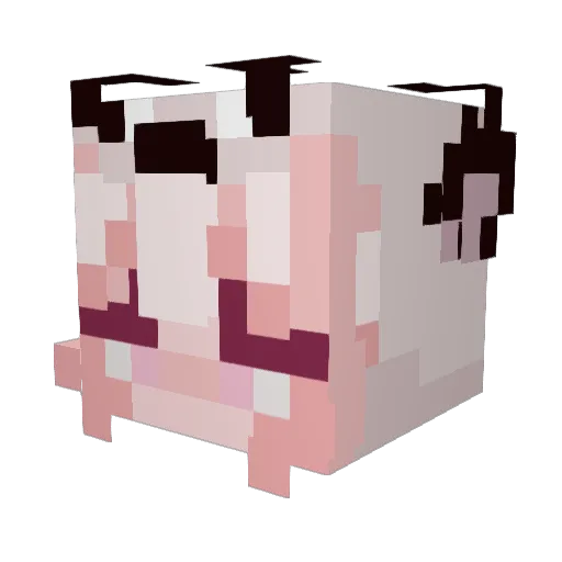 nataronicheez Minecraft avatar head, 3D render