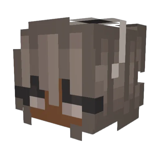 natashya Minecraft avatar head, 3D render