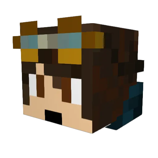 natax012 Minecraft avatar head, 3D render