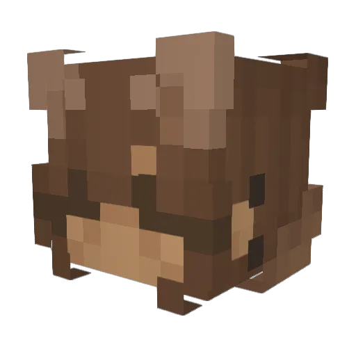 natbug0506 Minecraft avatar head, 3D render
