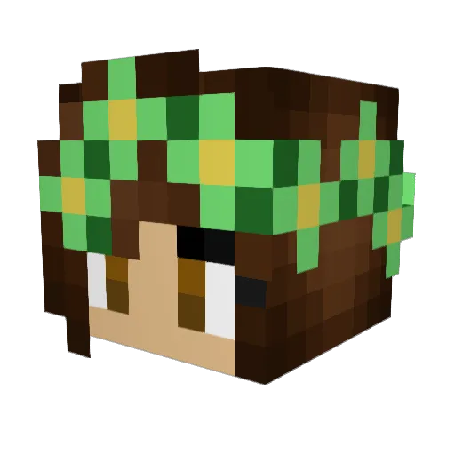 natcat2003 Minecraft avatar head, 3D render