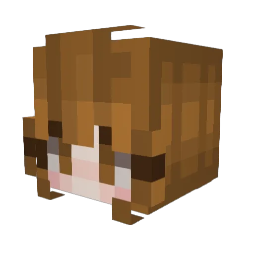 natchen05 Minecraft avatar head, 3D render