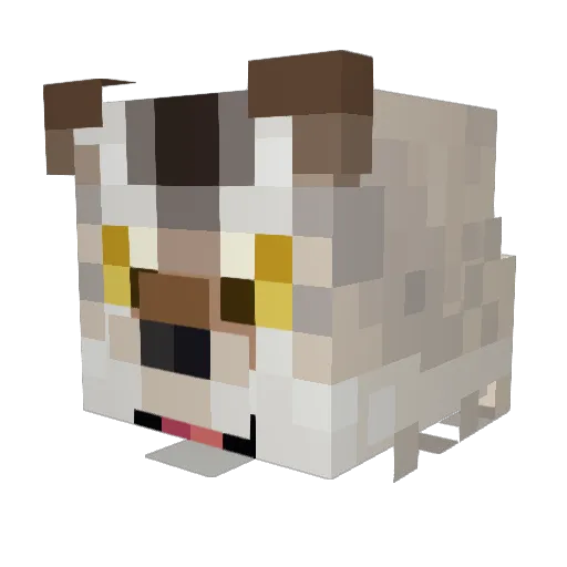 natchimon Minecraft avatar head, 3D render