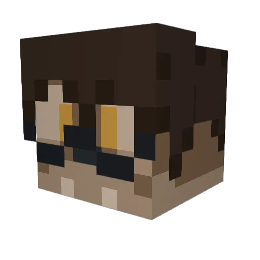 natcoolcat Minecraft avatar head, 3D render