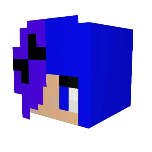 natdanaic9510 Minecraft avatar head, 3D render