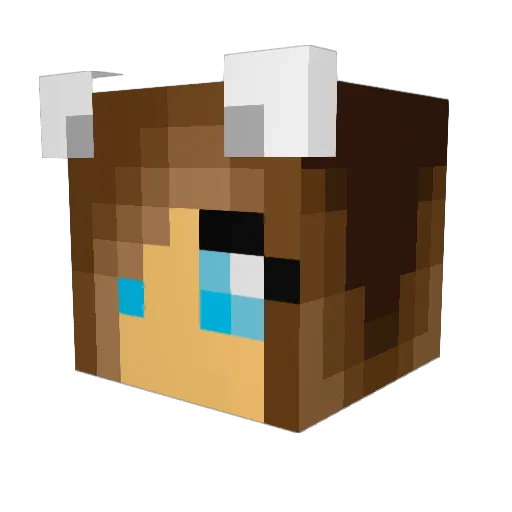 nate290 Minecraft avatar head, 3D render