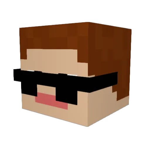 nate2cool Minecraft avatar head, 3D render