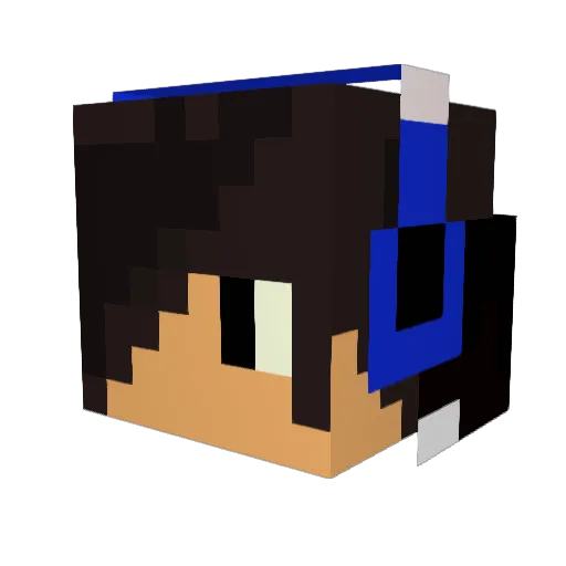 nate55554 Minecraft avatar head, 3D render