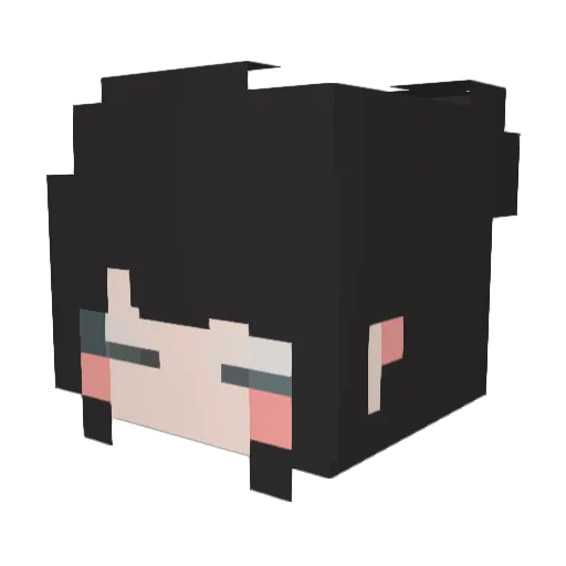 nate952 Minecraft avatar head, 3D render