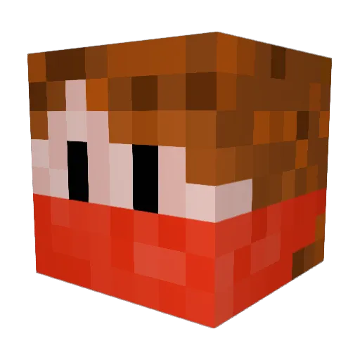 natecacy Minecraft avatar head, 3D render