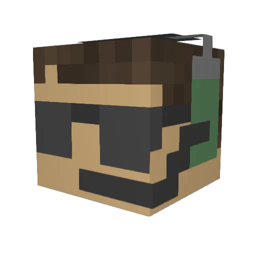natedog508 Minecraft avatar head, 3D render