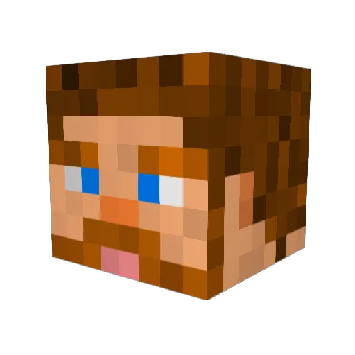 nateman8706 Minecraft avatar head, 3D render