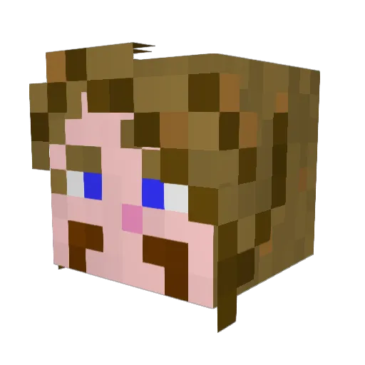 natethegreat409 Minecraft avatar head, 3D render