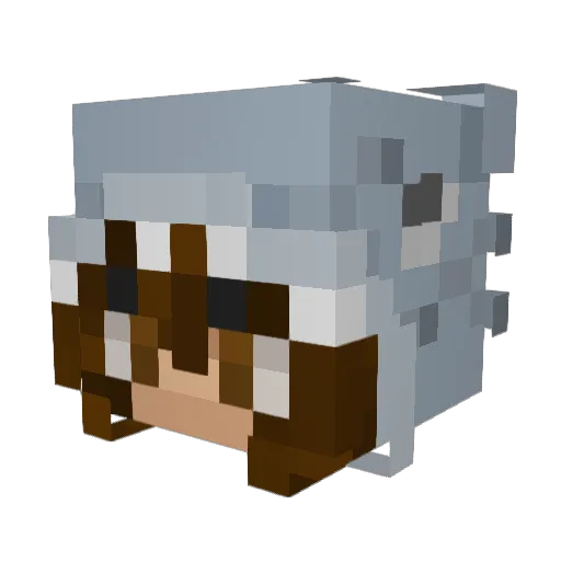 natfam Minecraft avatar head, 3D render