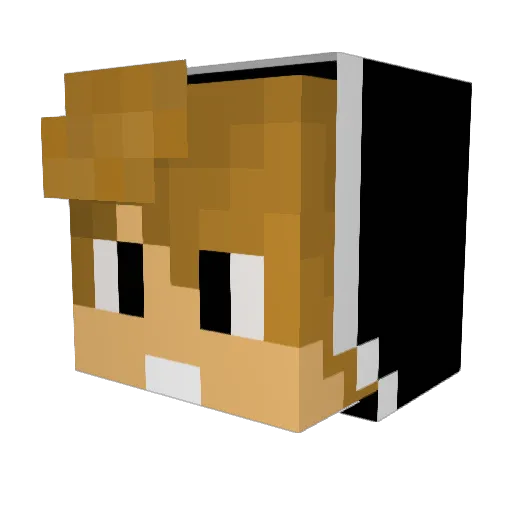 nath1n Minecraft avatar head, 3D render