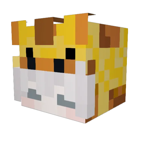 nath4358 Minecraft avatar head, 3D render