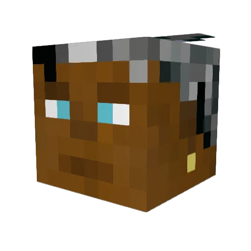 nath5902 Minecraft avatar head, 3D render
