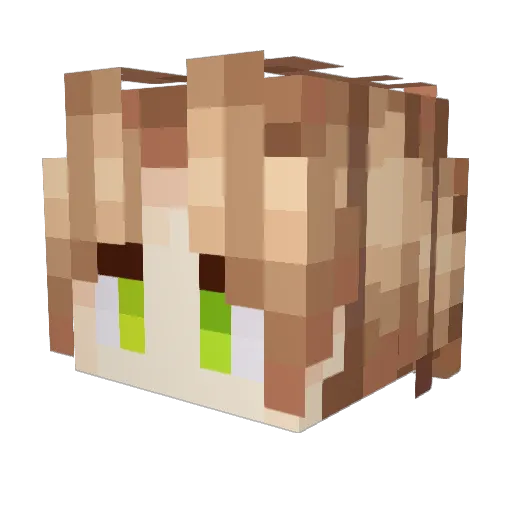 nathaee Minecraft avatar head, 3D render