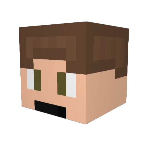 nathan091 Minecraft avatar head, 3D render