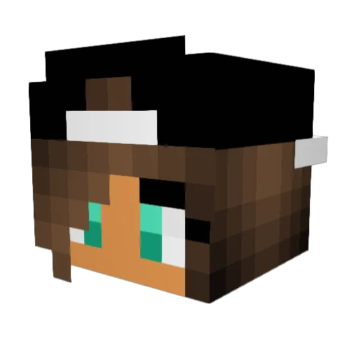 nathan8530 Minecraft avatar head, 3D render