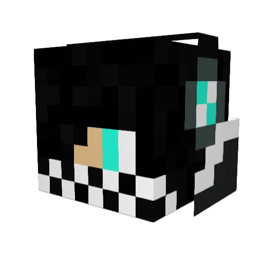 nathan8904 Minecraft avatar head, 3D render