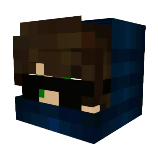 nathanbhunter Minecraft avatar head, 3D render