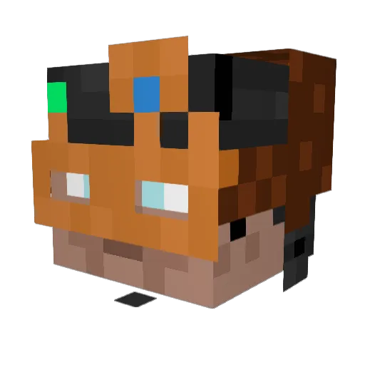 nathanbot Minecraft avatar head, 3D render