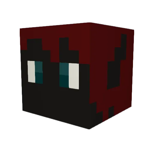 nathancat123 Minecraft avatar head, 3D render