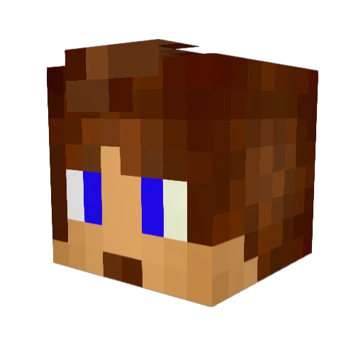 nathangamerbr15 Minecraft avatar head, 3D render