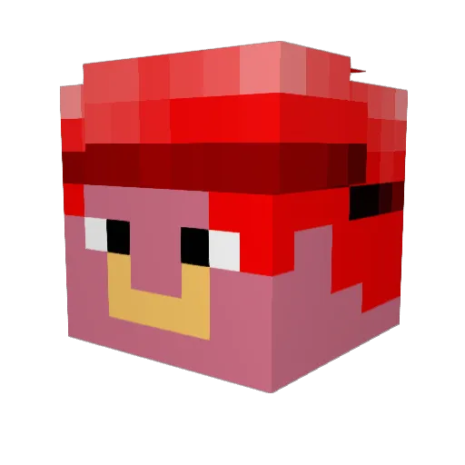nathanmadboy Minecraft avatar head, 3D render