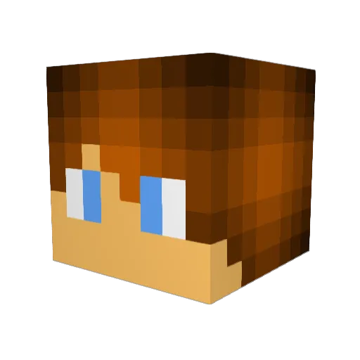 nathanmonkey8 Minecraft avatar head, 3D render