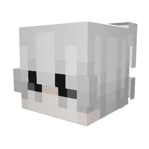 nathanoel44 Minecraft avatar head, 3D render