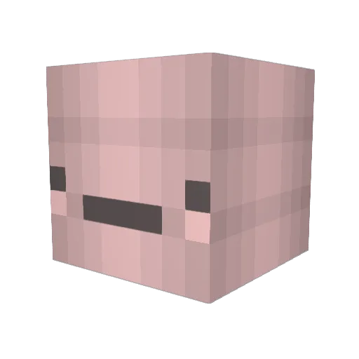 nathantheturtle Minecraft avatar head, 3D render
