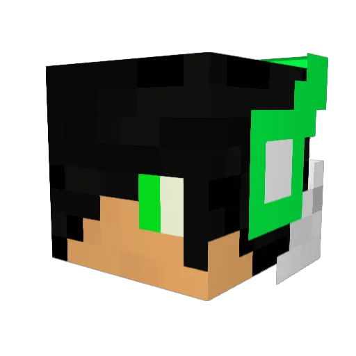 nathantruiz Minecraft avatar head, 3D render