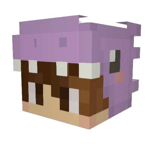 nathhh2003 Minecraft avatar head, 3D render