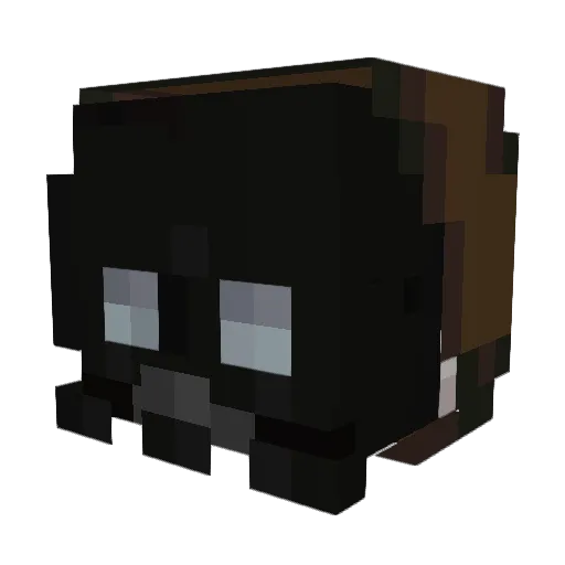 nathunter07 Minecraft avatar head, 3D render