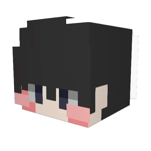 nationofsin Minecraft avatar head, 3D render