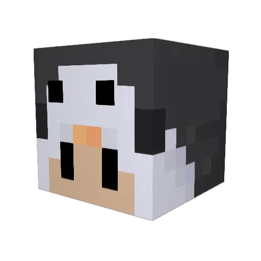 nationwave Minecraft avatar head, 3D render