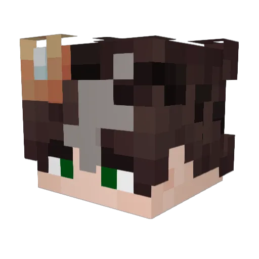 native_wolf09876 Minecraft avatar head, 3D render