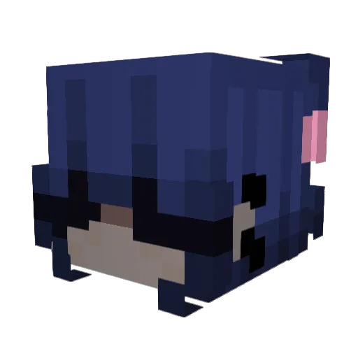 natlol99 Minecraft avatar head, 3D render