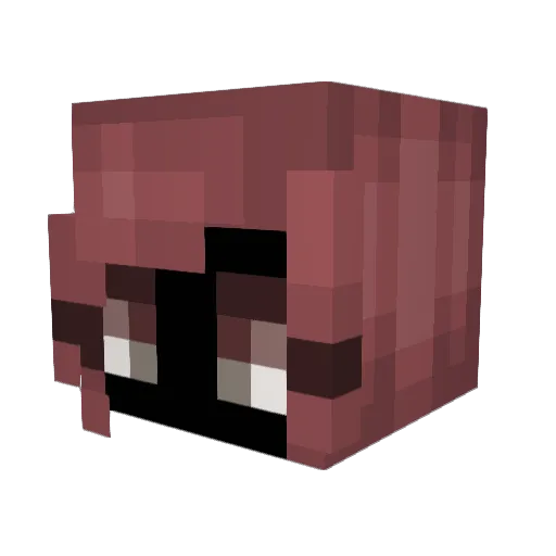 natnami Minecraft avatar head, 3D render