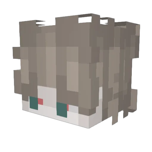 natnatpeanat Minecraft avatar head, 3D render