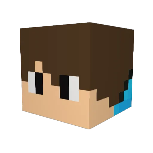 naton0 Minecraft avatar head, 3D render