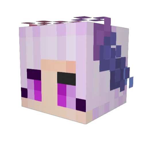 natpep99 Minecraft avatar head, 3D render