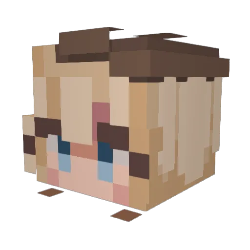 natpluscat Minecraft avatar head, 3D render